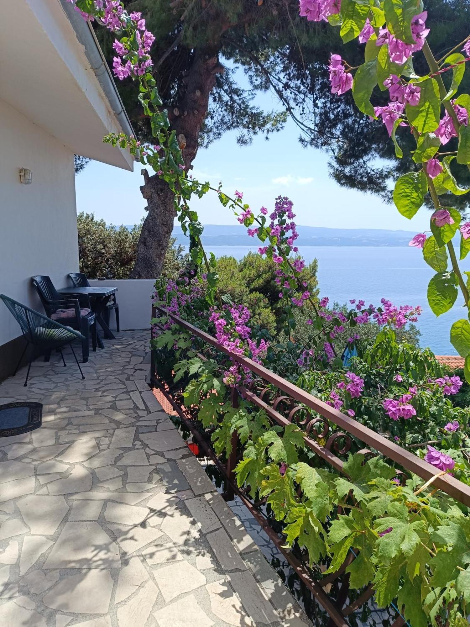Studio Apartmani Tucic Celina Bagian luar foto