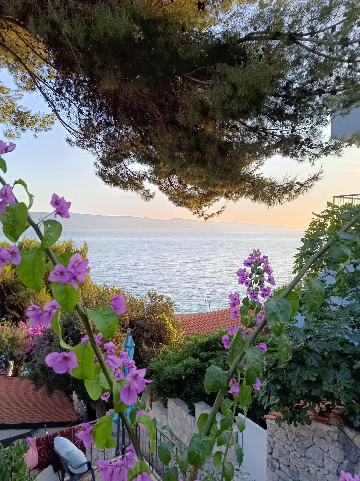 Studio Apartmani Tucic Celina Bagian luar foto